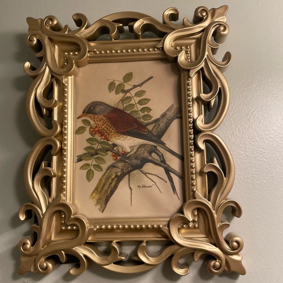 Ornate Gold Picture Frames with Vintage Bird Art - Picture 2 of 5